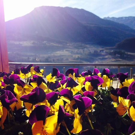 B&B L'Edera Trento Dış mekan fotoğraf